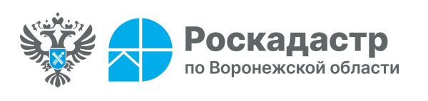 Роскадастр ответил на популярные вопросы воронежцев о выписках из ЕГРН.